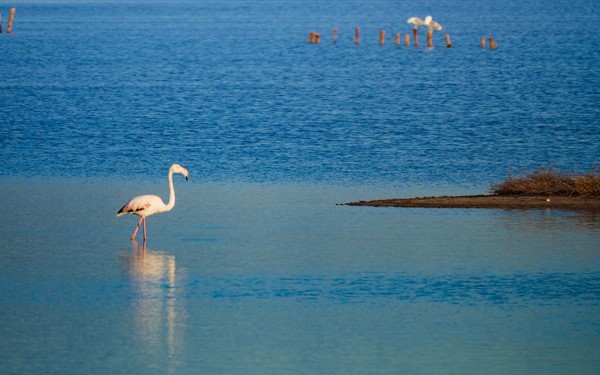 Medium property photo - Calle Pedro Pagán Ayuso 4, 30740 San Pedro del Pinatar